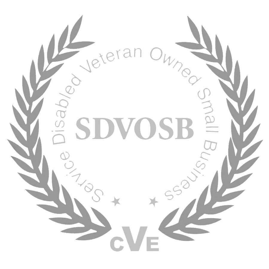 service disabled veteran owned small business